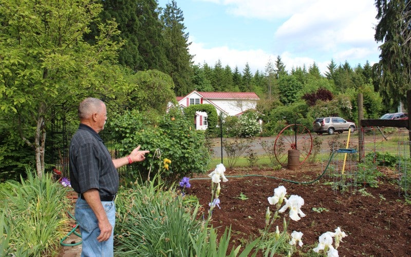 Dwight Cummins explaining while standing in his garden
