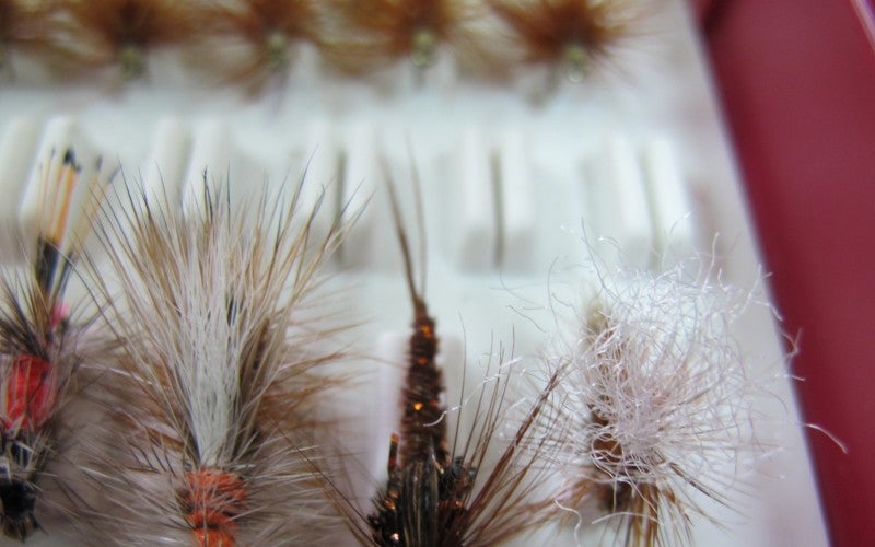 Three neutral-colored fish fly hooks.