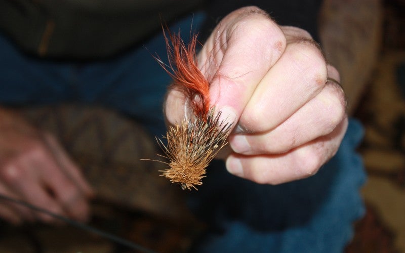 A hand holds a small brown and red fly fish hook.