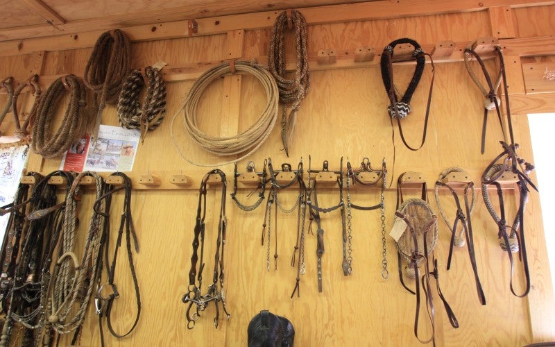 Various horse tackle, including bridles, rope, and leads, hang on wooden pegs on a tan wood wall.