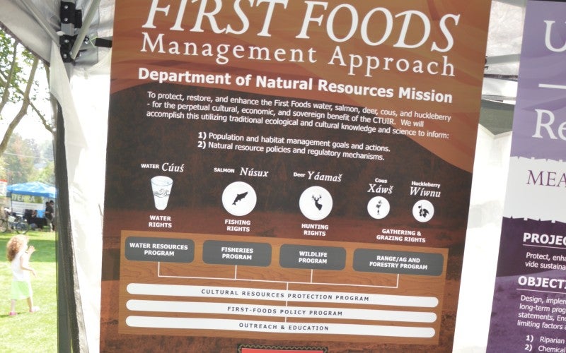 An informational poster about first foods