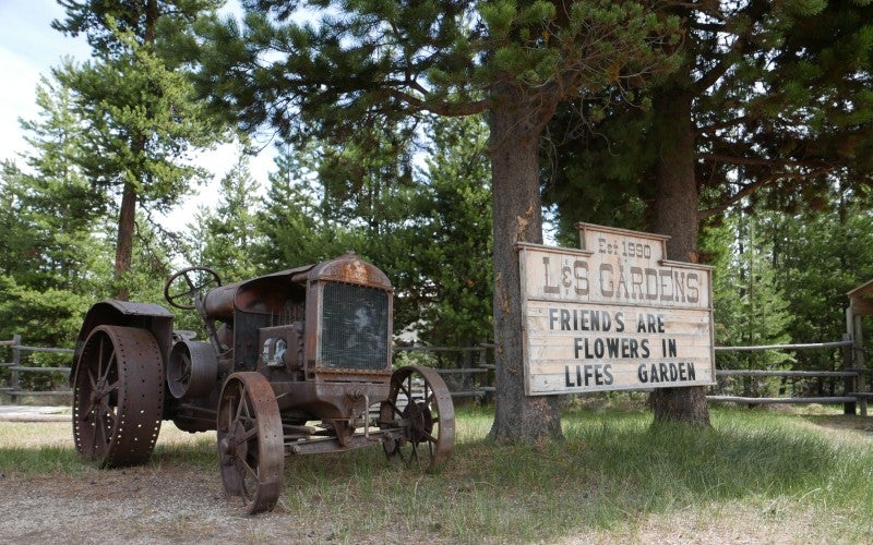 An old tractor parked next to a sign advertising Linda Stephensons nursery she runs.