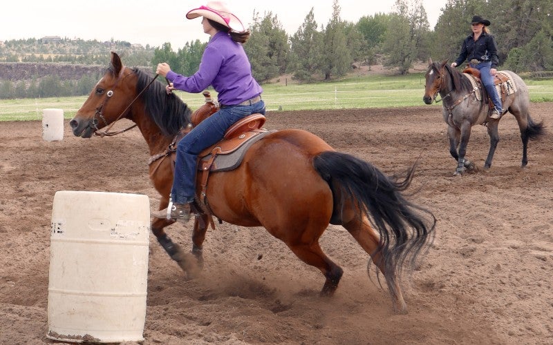 A person in a purple shirt races around a barrel with a brown horse