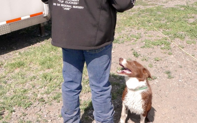 Tom Blasdell stands outside next to an australian shepherd stockdog