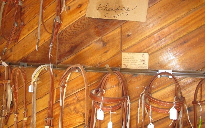 Close-up of horse bridals hung on a wood panel wall.