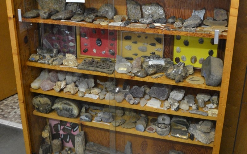 A wooden shelf display containing various rock samples.