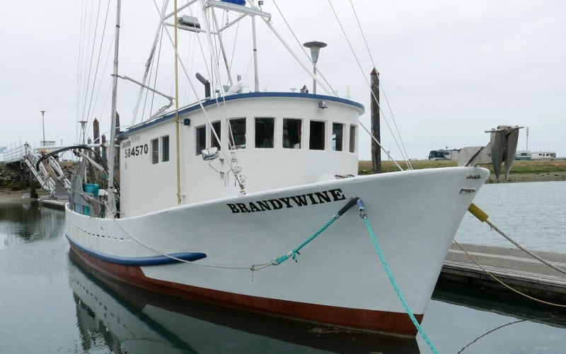 A white fishing boat named "BRANDYWINE."