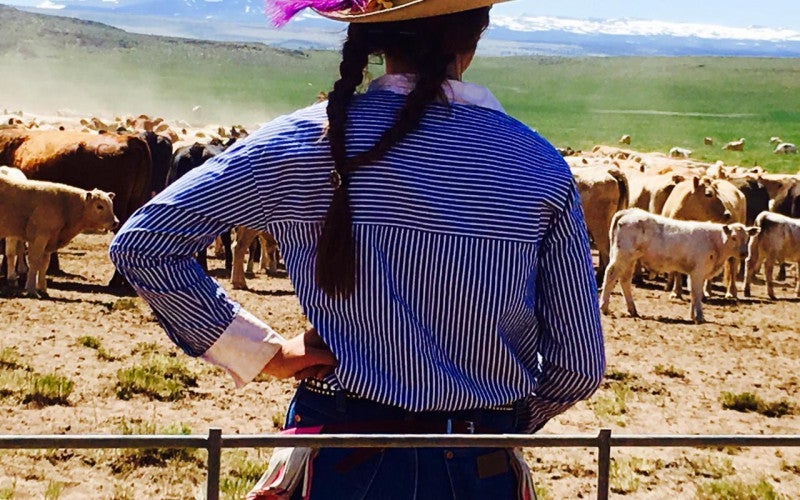 Randi Johnson looks out over a pen of cattle. Her back is to the camera.