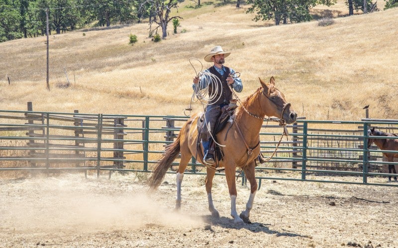 Steve Harris rides a chestnut brown horse, kicking up dust. He is mid-motion, with a lasso roped around his right arm. He is wearing a white cowboy hat and staring into the distance.