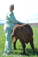 Janie Tippett stands in a grassy field and rests her hands on a young brown cow. She wears a light green and white striped shirt and beige pants.