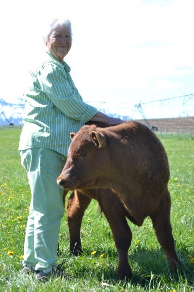 Janie Tippett stands in a grassy field and rests her hands on a young brown cow. She wears a light green and white striped shirt and beige pants.