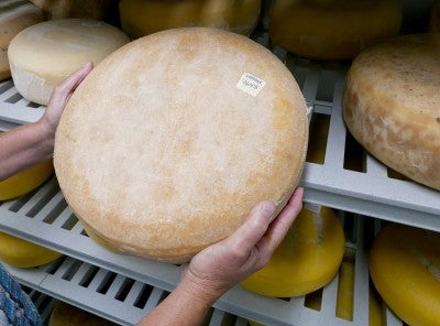 Seymour holds a cheese round, and more cheese rounds are on metal storage shelves in the background.