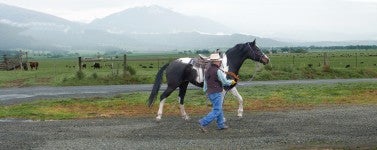 Alice leads a black and white painted horse outdoors on gravel