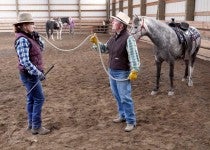 Alice standing in an arena with a horse teaching a woman about horse bridling.